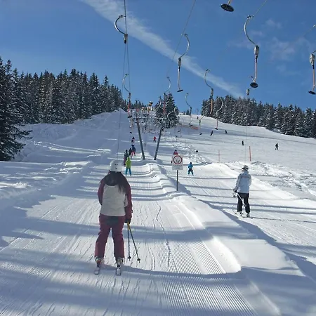 Apartmán Nice With Dishwasher, In A 500 M From The Ski Lift Winterberg