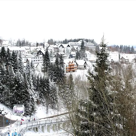Nice With Dishwasher, In A 500 M From The Ski Lift Winterberg