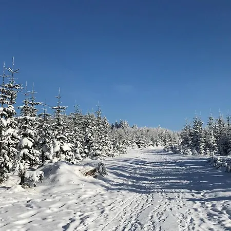 Apartmán Nice With Dishwasher, In A 500 M From The Ski Lift Winterberg